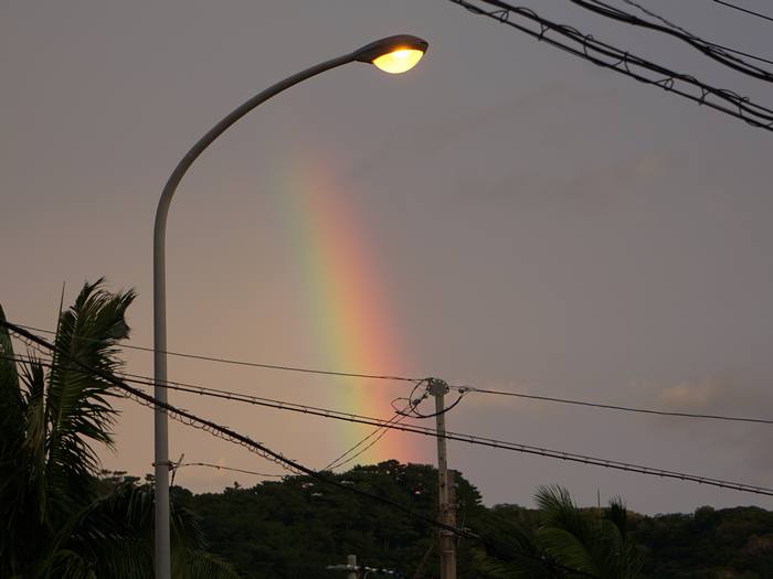 朝、虹の登場