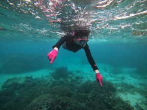 波照間行フェリー欠航！急遽プラン変更、当日ご予約でシュノーケリング