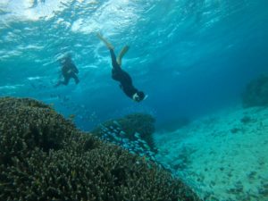 3日連続シュノーケリングでブルーチャージは完了です！