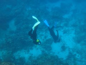 石垣島旅行、初日からアクセル全開でスキンダイビング