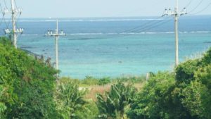 地域行事、花植えしながら駅伝の応援♪