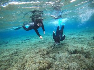 アクセル全開シュノーケリング！石垣島最終日も海でスキンダイビングを楽しむ！