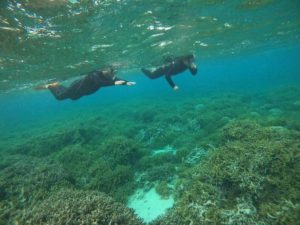 シュノーケリングとグラスボート、どっちがより楽しめる？