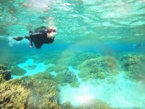 シュノーケリング初心者さんもベテランさんも石垣島を満喫！