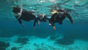 少人数でシュノーケリング！お魚さん観察に脱初心者ツアー！