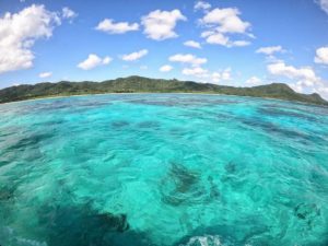 12月の石垣島の水中風景、冬こそおすすめシュノーケル
