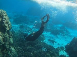 石垣島でシュノーケリングの予定なく！キャンパー海に潜る！スキンダイビングも！