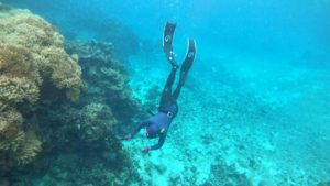 石垣島の海をはしごでシュノーケリング！