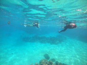 寒さ対策は十分！石垣島は1月でもシュノーケリング、楽しめます！