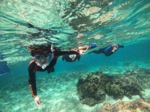 初心者さんにベテランさん！石垣島の海を満足シュノーケル♪