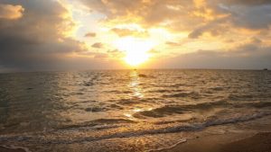 2022年元旦、石垣島を初潜りでシュノーケリング！