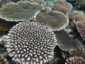 送迎道中からメラメラ！勝負開始！海だけがツアーではありません！