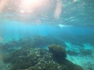 石垣島最終日は当日ご予約でシュノーケリングです！