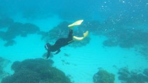 石垣島、不完全燃焼で終わらせない！曇り空でも楽しんだシュノーケリング！