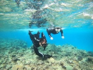 冬の晴れた石垣島はシュノーケリング日和です♪