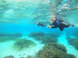 Bダッシュでシュノーケリング、まるで水中インターバルトレーニング!?