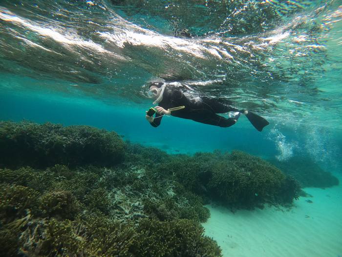 リピーターT川さんです