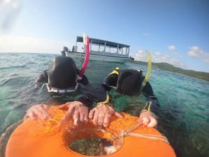 シュノーケリング初心者さんも安心、貸切、海を独り占めツアー！