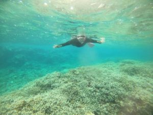 曇の石垣島！でも楽しめるのがシュノーケリング！