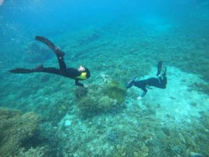 海好き、魚好き、素潜り好き！の皆さんとシュノーケル！