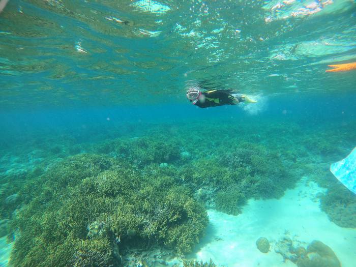 お母さんはマイペースです。