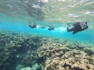 卒業旅行！若さ溢れるパワー！当日予約で到着日シュノーケリング！