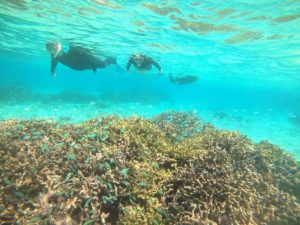 天気はV字復活！どんより曇りから快晴、シュノーケリング日和です！