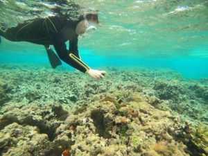 二年ぶりの石垣島！カメラデビューでシュノーケル♪