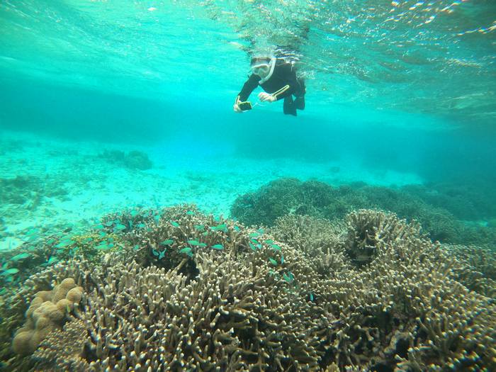 ゆったり泳いでいきます。