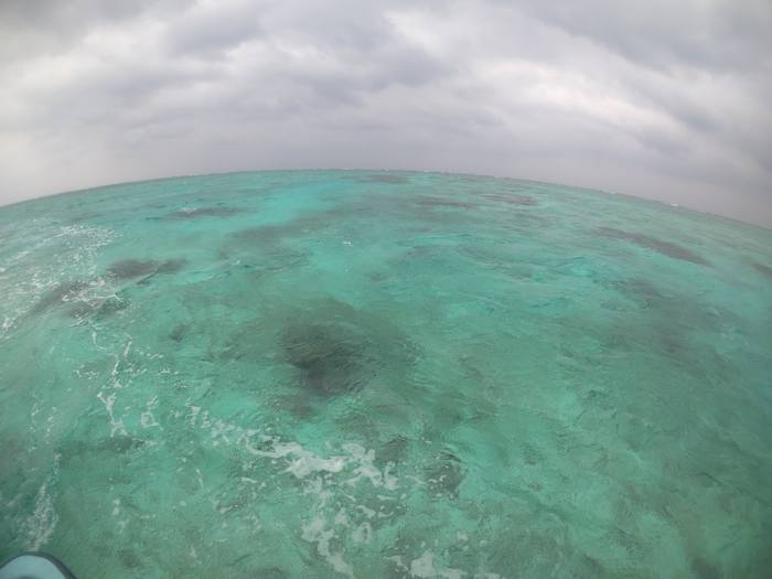 天気は曇り、でも透明度抜群です