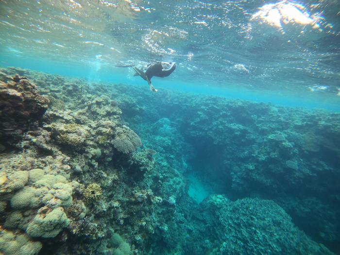 深場も透明度抜群です