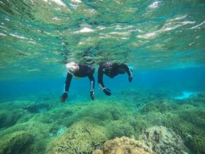 水中世界は宝箱♪75歳72歳！止まってなんかいられない！