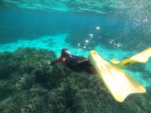 不安と好奇心！天秤にかけながら素潜りトライ！楽しめました！