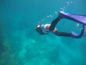 水中世界は春の気配！いろんな種類が産卵です！