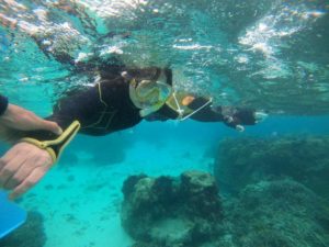 荒波など関係なし！石垣島の水中世界をしっかりエスコート♪
