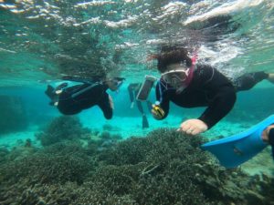 午後からのツアーは無敵の干潮時間！浅場シュノーケリング！