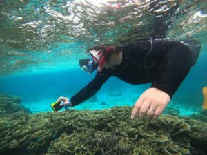 浜下り、全身ドボンでシュノーケリング！