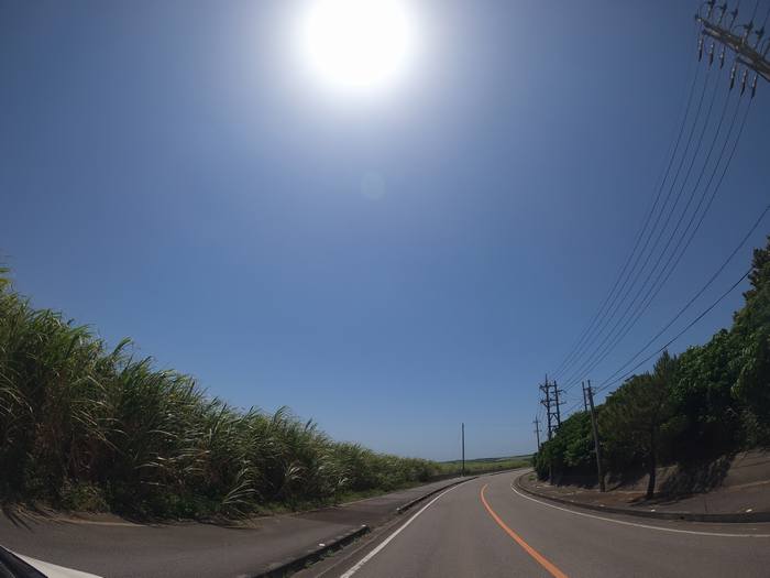 やっぱり石垣島には青空が似合います。