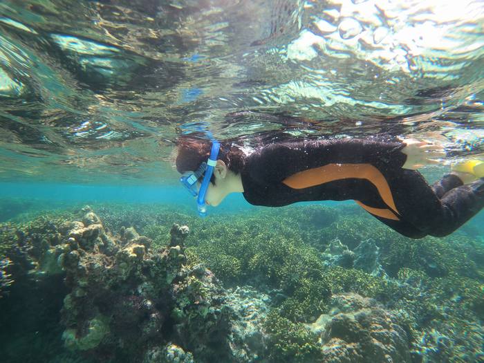 やんちゃ泳ぎを続けています。