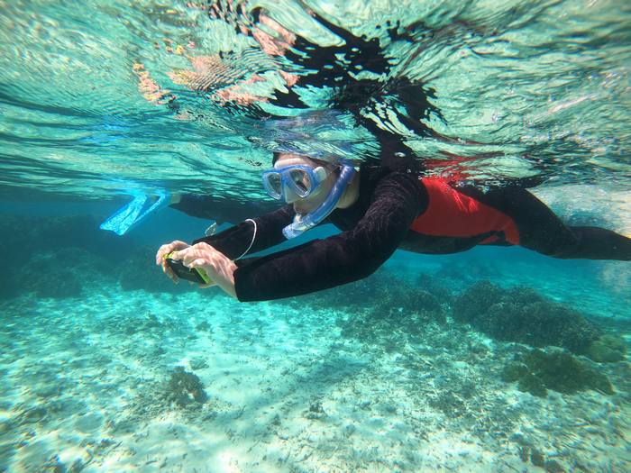 カメラを持てば無敵です。