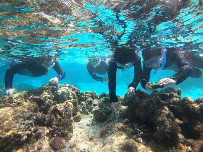 Y田さんご家族です。