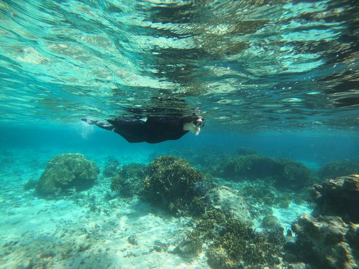 お母さんも楽しんでいます