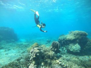 石垣島旅行、最終日はシュノーケリング！リクエストはアオサンゴ！