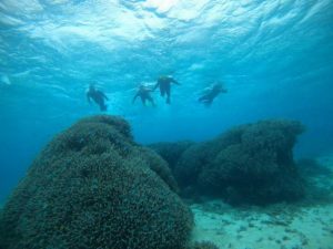 石垣島旅行フィナーレはやっぱりシュノーケリング！