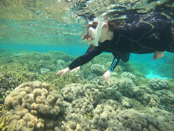 サンゴはもうすぐ目の前です。