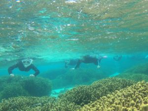 石垣島旅行初日からアクセル全開！到着日のシュノーケリング