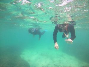 赤土の広がり具合に一喜一憂！