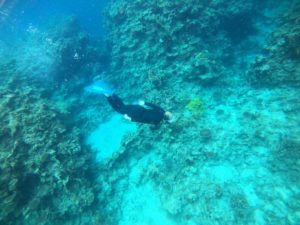 雨でもベストコンディション！べた凪、無風、快適シュノーケル♪スキンダイビングも！
