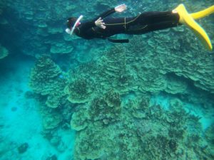 自由度高く楽しめる！その理由は少人数ツアー！