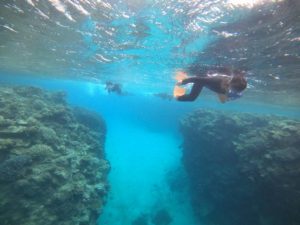 午前はツアー中止。。。午後からは無敵の干潮時間！